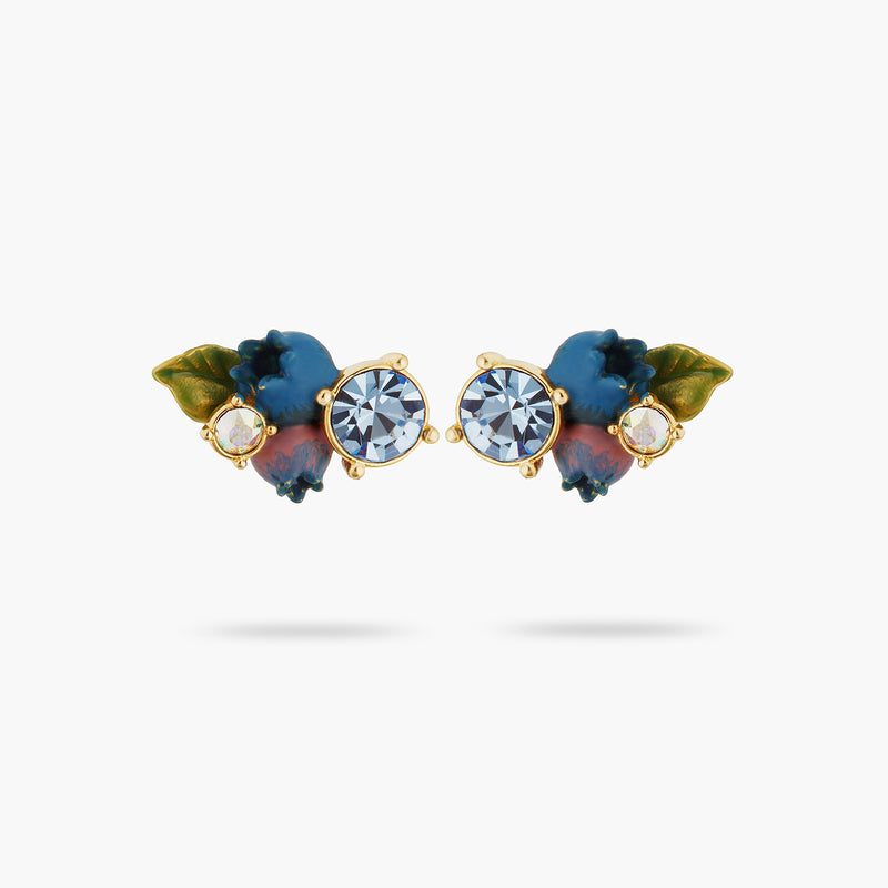 BLUEBERRY & ROUND CUT STONE POST EARRINGS